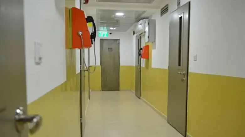 Здесь сидит Ольмерт