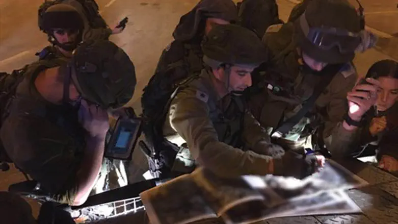 הכוחות בתרגיל