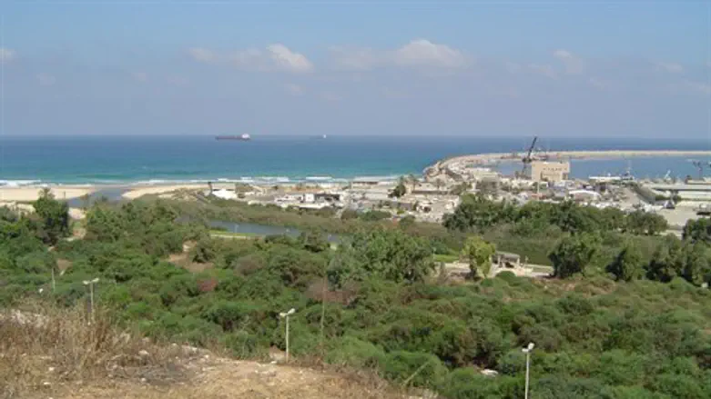 תיירות לארץ