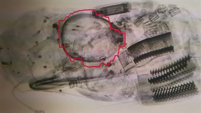 הרימון והקליעים