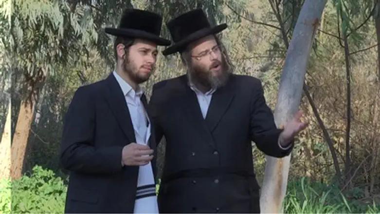 דודי קאליש וארי היל