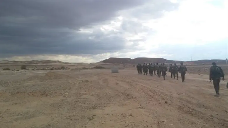 צועדים בלב מדבר