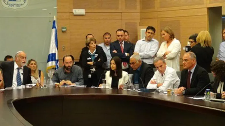 Constitution, Law and Justice Committee