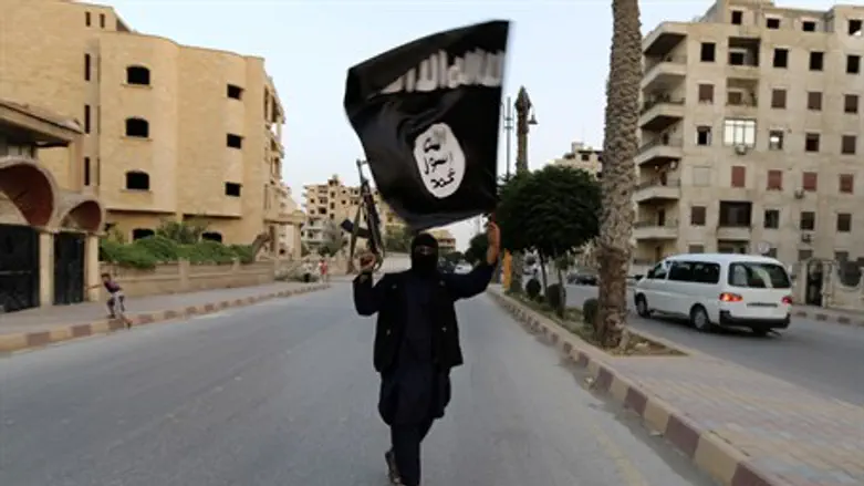 ISIS terrorist in Syria (file)