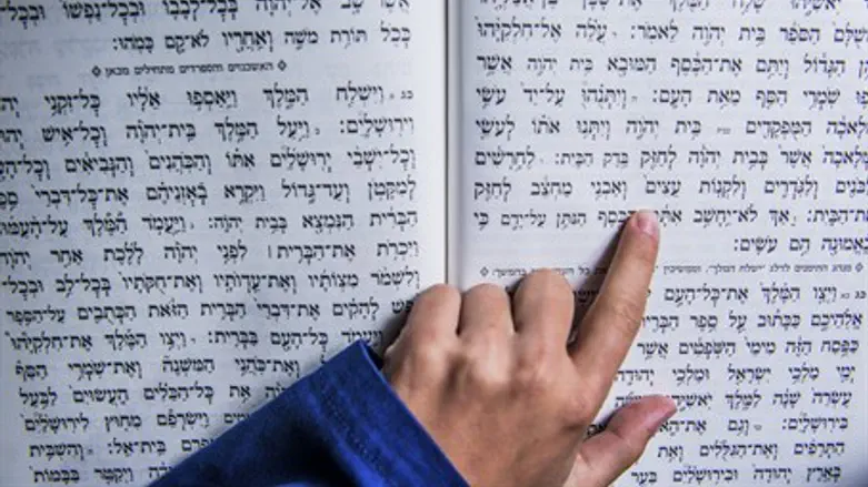 Torah (illustration)