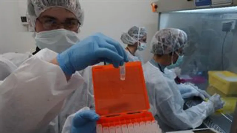  אילוסטרציה