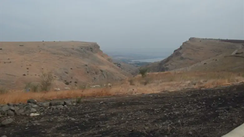 יותר תיירים לישראל