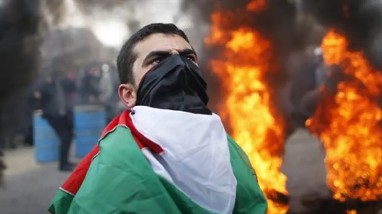 Pro-Palestinian activist (file)