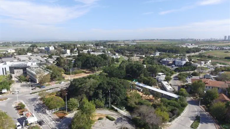 מכון וולקני