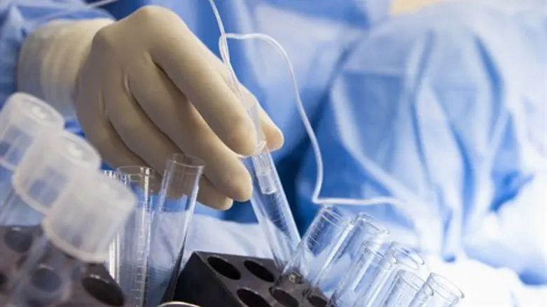 עשר שעות ליד הצלוחיות