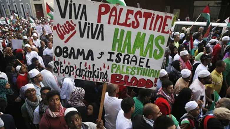 Anti-Israel protest (illustration)