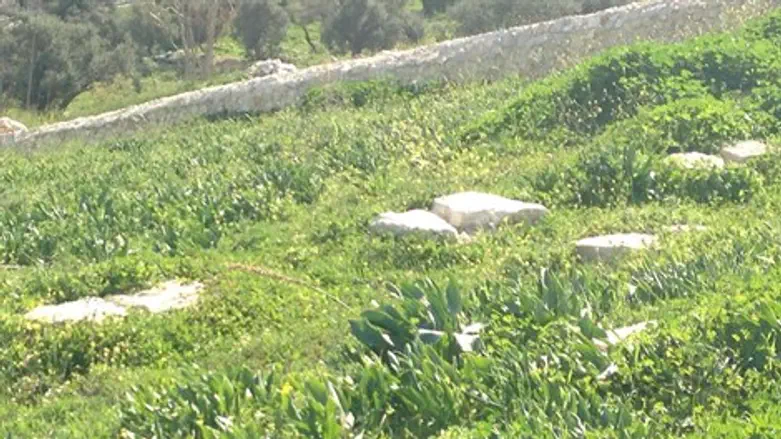 בית העלמין הנשכח. סמבוסקי