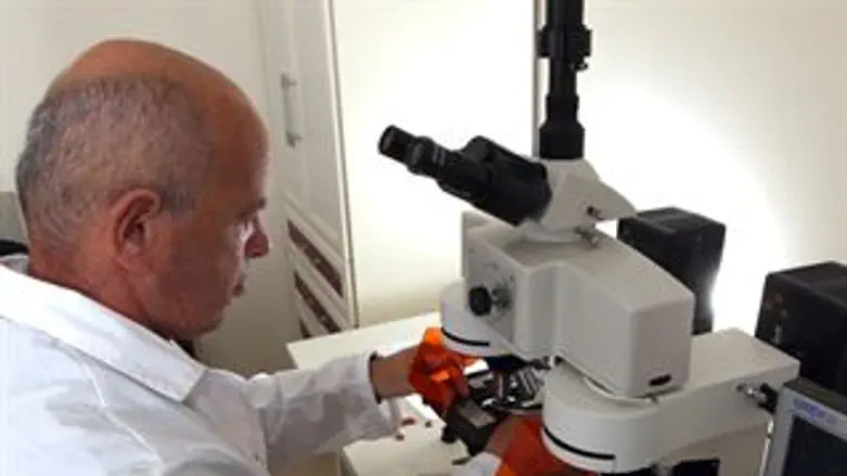 לא קשור בהכרח לזיכרון ילדות