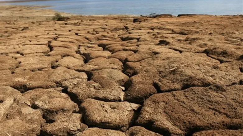 האדמה מחכה. ארכיון