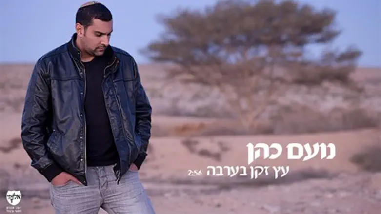 עץ זקן בערבה