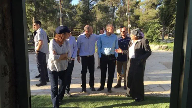 לוין בעוז וגאו"ן