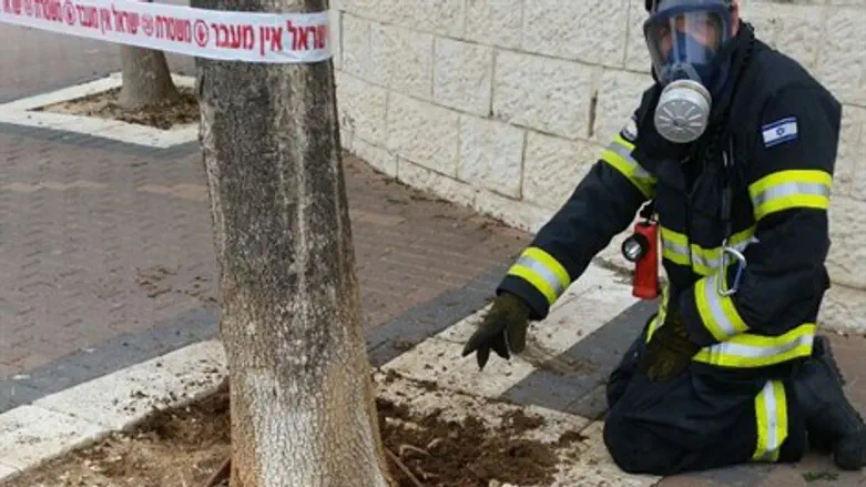 רחוב דולצ'ין בירושלים