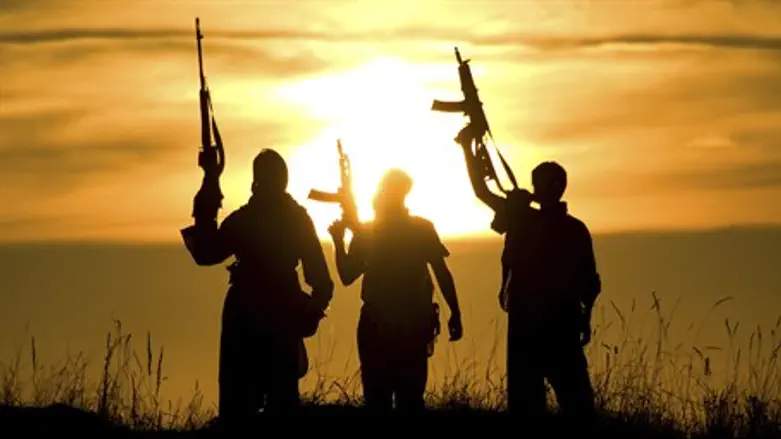 Jihadists