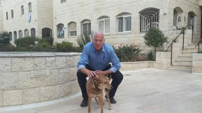 השר אריאל עם כלבה שניצלה על ידי עמותת sos