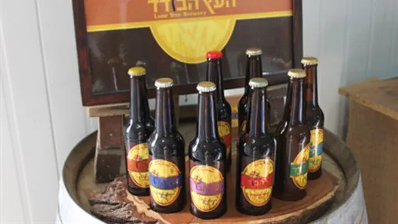 Lone Tree Brewery's beer