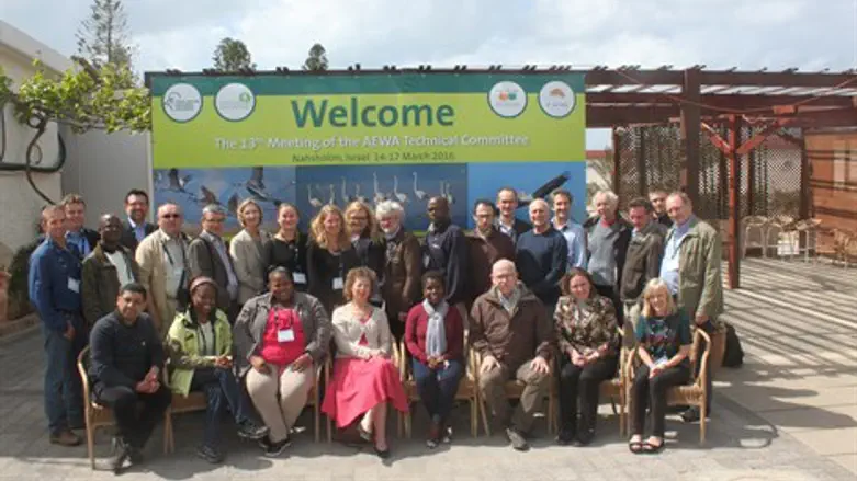 כנס בין לאומי