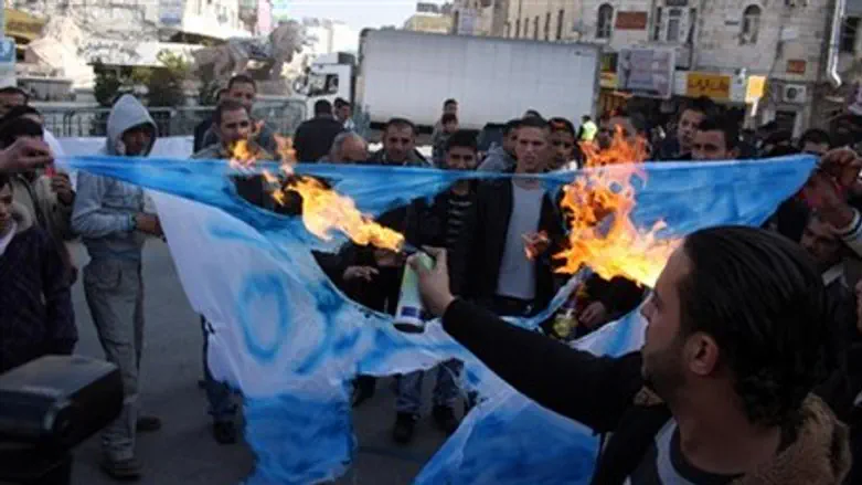 Burning flags