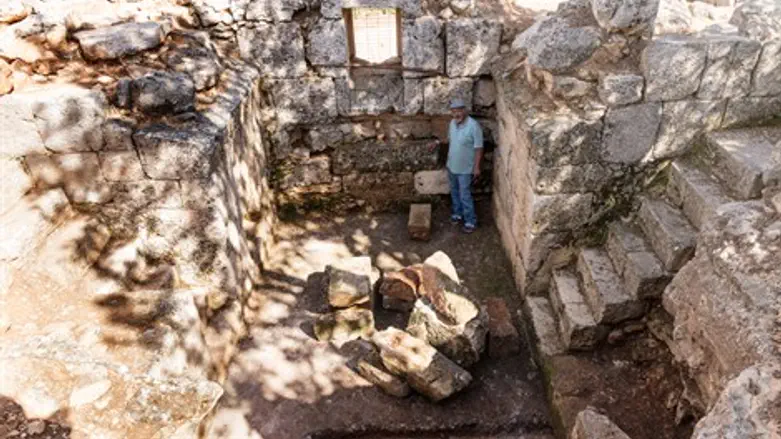 פסיפס נדיר מהמאה החמישית