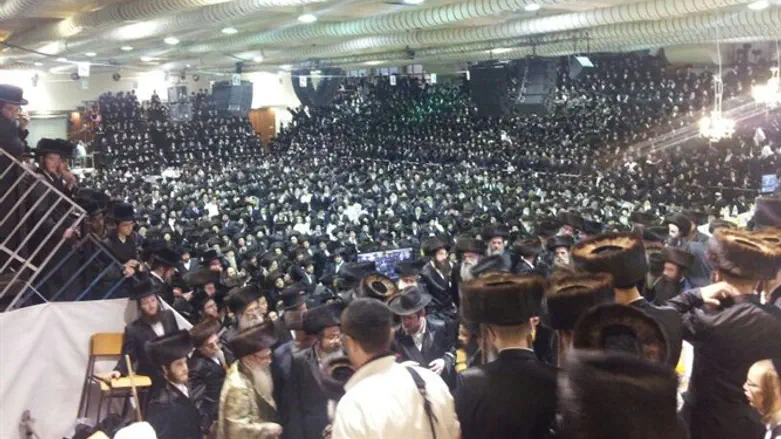 חתונת נכדת האדמו"ר מצאנז