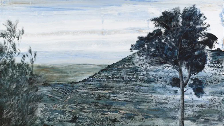 תערוכה: שויתי