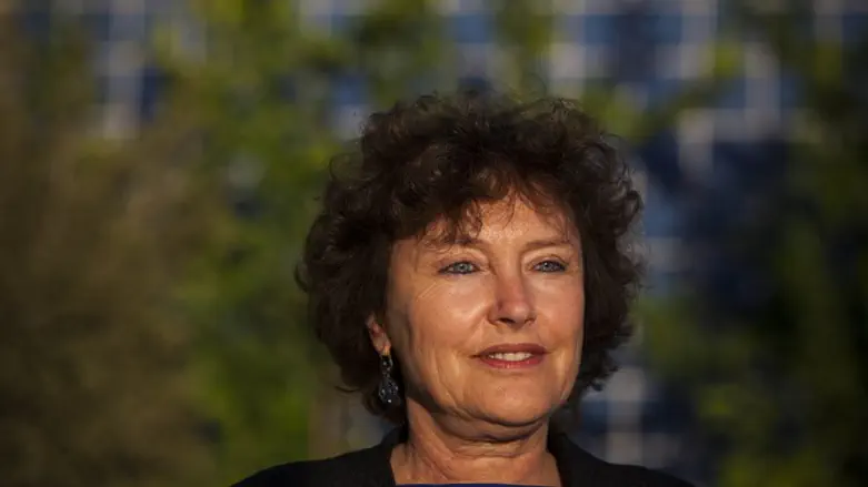 לא להוריד מיסים. קרנית פלוג