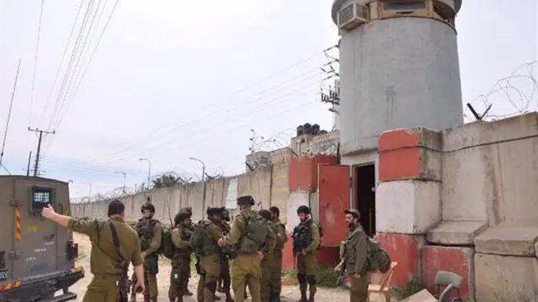 התרגיל ב-443