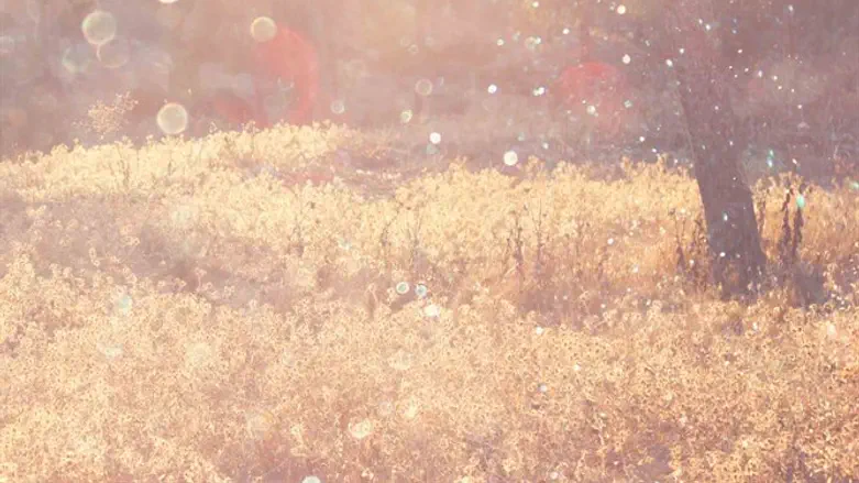 בגלל השעון שכחנו להרגיש