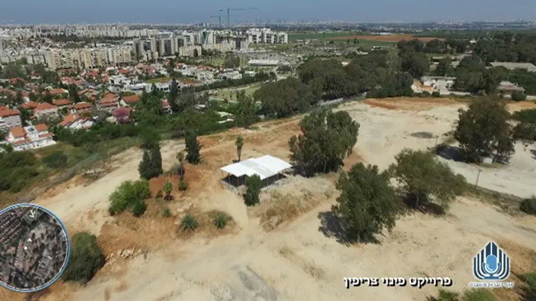 Tzrifin