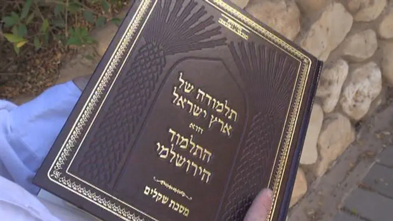התלמוד הירושלמי של מכון הירושלמי