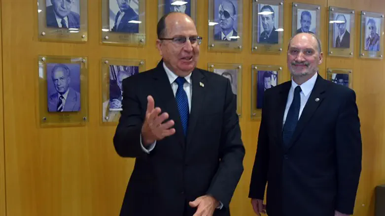 יעלון ומייסירביץ'