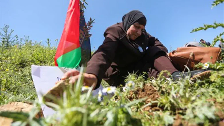 Посадка возле Рамаллы (Иллютрация)