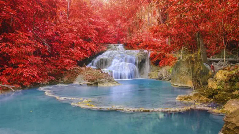 צלילים שנפלו מגן עדן