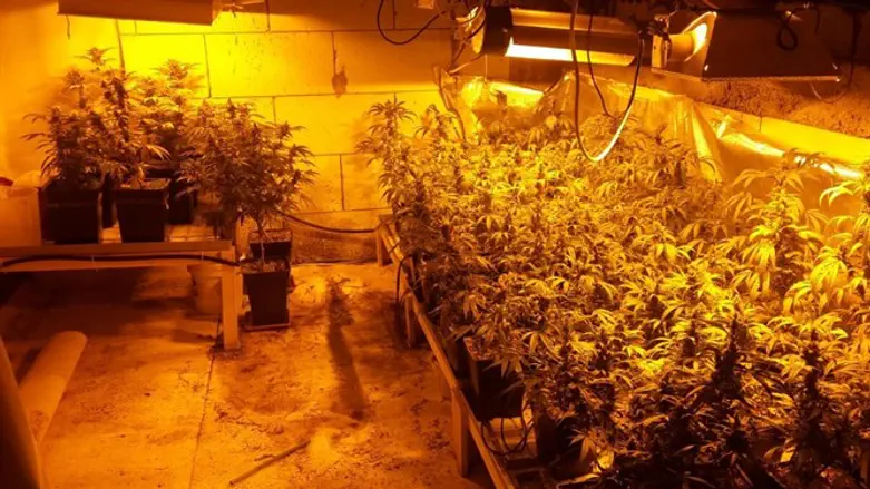 מעבדת סמים שנחשפה