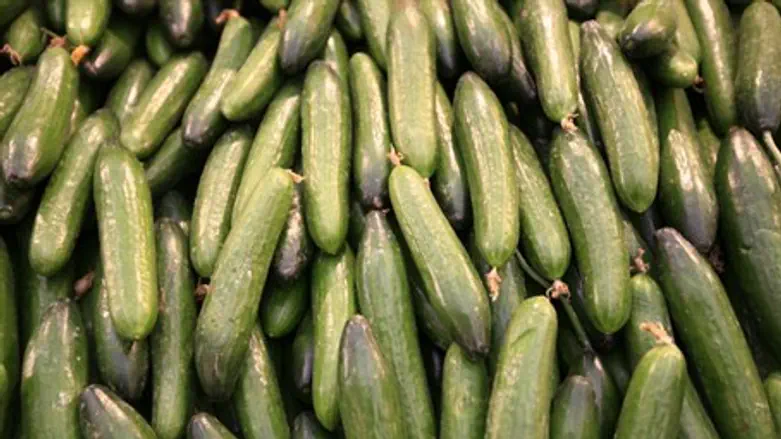 Cucumbers