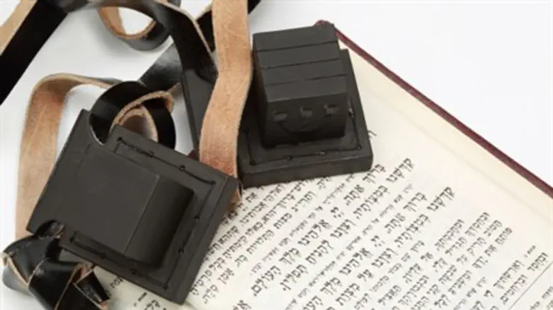 Tefillin - Tefilin - תפילין