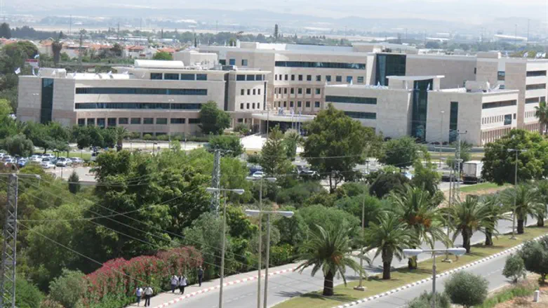 מכון וולקני