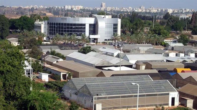 מכון וולקני