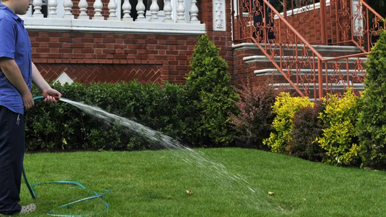 אילוסטרציה