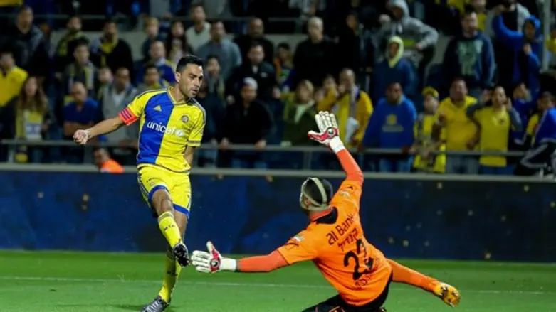 זהבי בתנועה אופיינית העונה