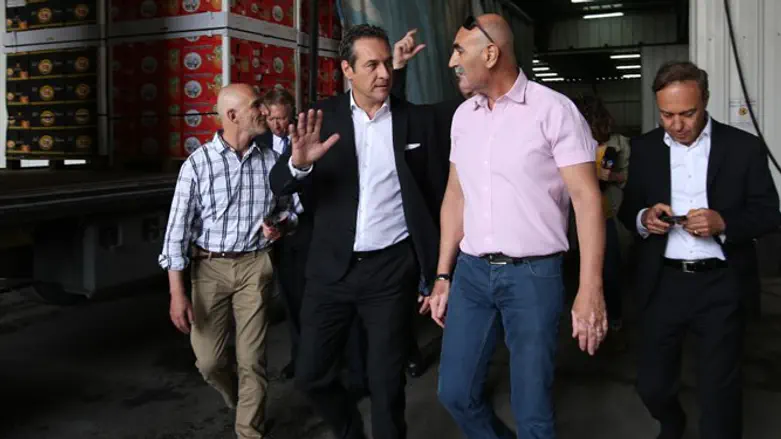 האורחים מאירופה בבקעת הירדן