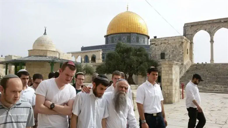  Rabbi Yitzchak Levy on Temple Mount