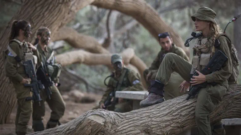 אילוסטרציה, אין קשר בין הכתבה למצולמות