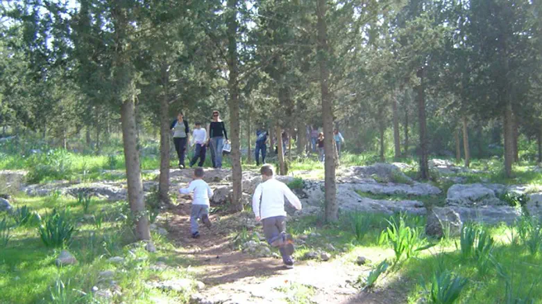 טיולים בפארק