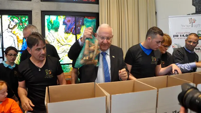 בית הנשיא, הבוקר