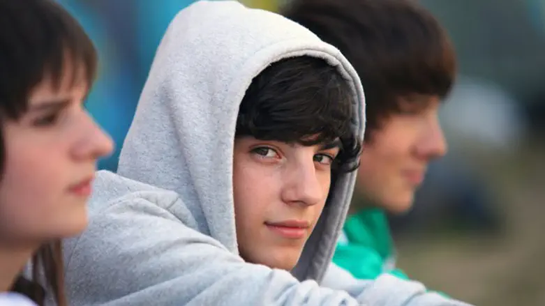 שני נתיבים לבגרות, אילוסטרציה